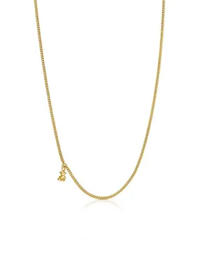Bold Bear Timeless Gold Plated Chain 1004071900