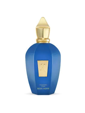 Blue Hope Eau de Parfum spray 100ml