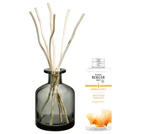Gift set Aroma Energy diffuser gray + refill Fresh tonic 200 ml