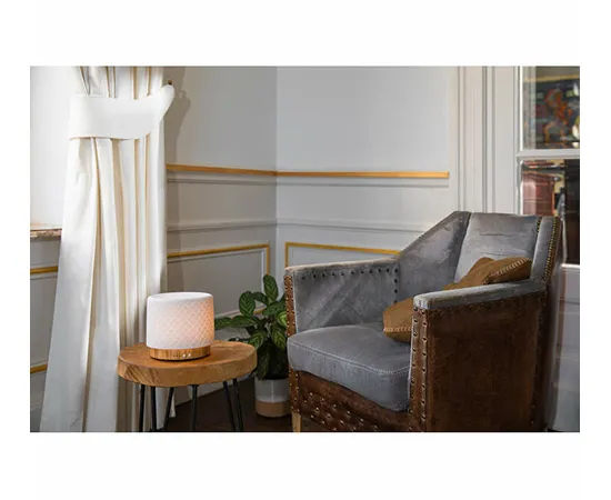 Moya scent diffuser
