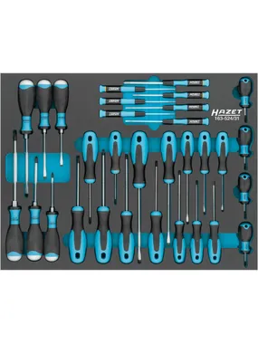 Screwdriver set, module 163-524/31