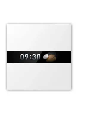 SMART HOME DISPLAY SWITCH V1/WS-K02D AQARA