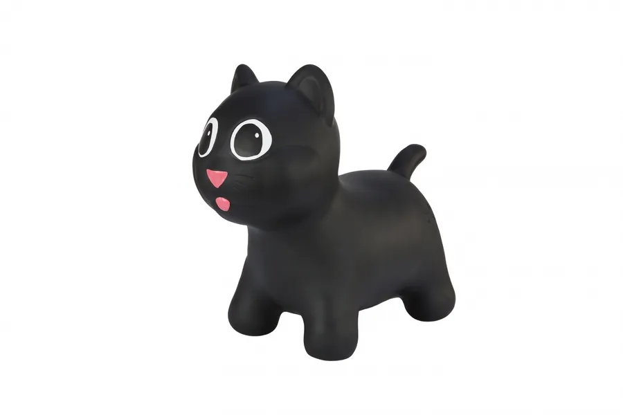 Jumper Cat black