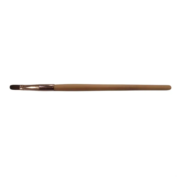 Lip brush with a long handle