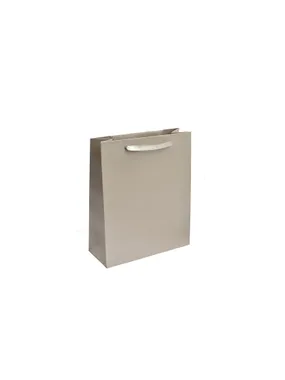 Silver paper gift bag EC-5 / AG