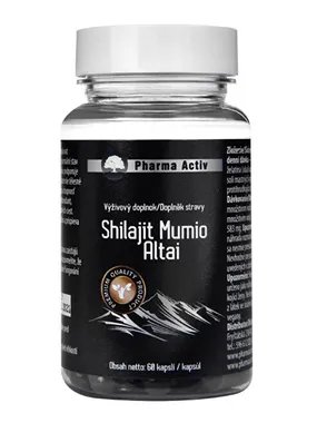 Shilajit Mumio Altai 60 tablets