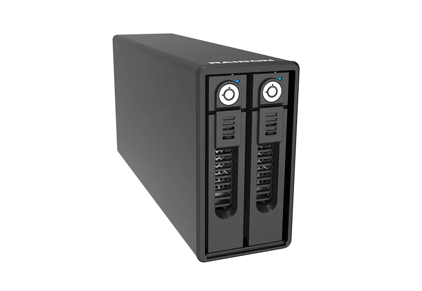 Raidon GR3660-BA31 disk array Desktop Black