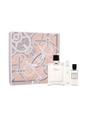 Terre d´Hermes Eau de Toilette , 100ml