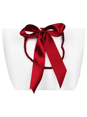 Gift bag with red ribbon