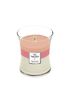 WW ELLIPSE EVERGREEN CASHMERE