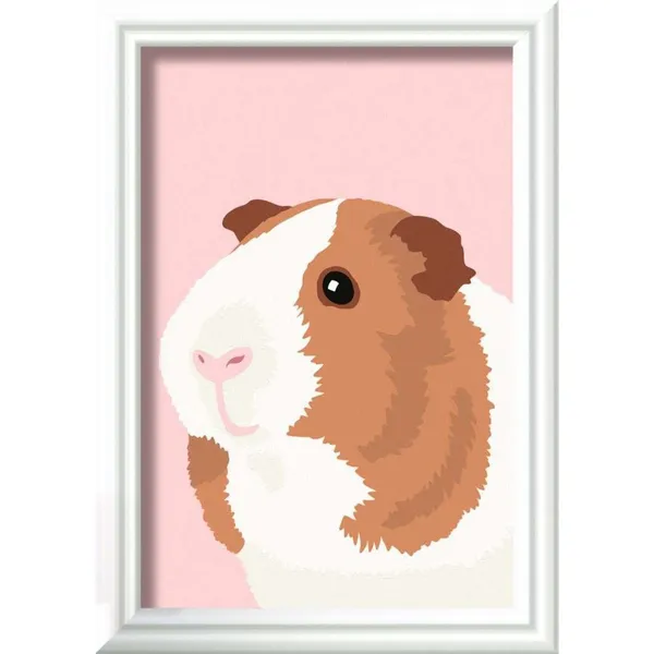 Painting by Numbers - Cute Guinea Pig