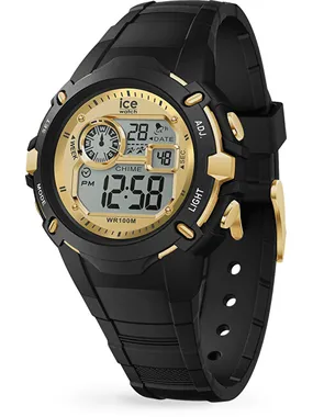 Ice Digit Explorer 024009