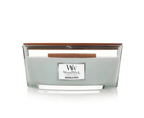 Scented candle ship Magnolia Birch 453.6 g