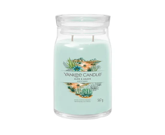 Aromatic candle Signature glass large Aloe & Agave 567 g
