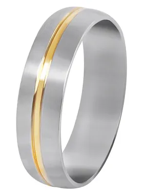 Steel ring with gold stripe
