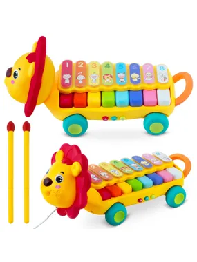 Educational toy dulcimer, xylophone of the rk-740 ricokids