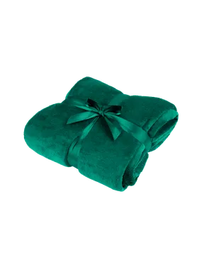 Fleece blanket 200x220 cm TEESA - green
