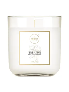 SPA Series Breath soy candle 150g