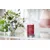 YC SIGNATURE LARGE TUMBLER BLACK CHERRY