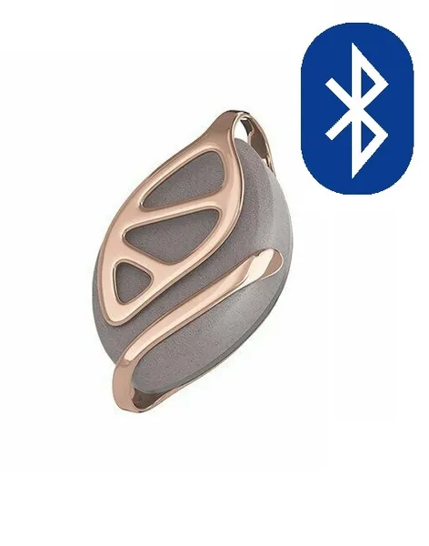 Elegant smart pendant with accessories Leaf Urban Gray Rose HT-20LF-GR-01