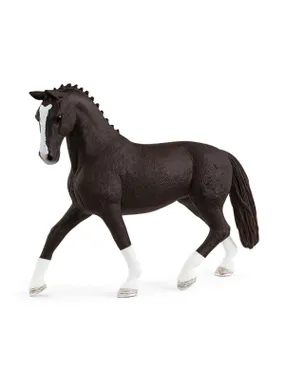 Horse Stallion of the Ha noverian breed
