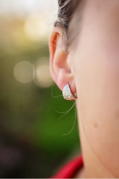 Sparkling silver earrings with zircons AGUC3534