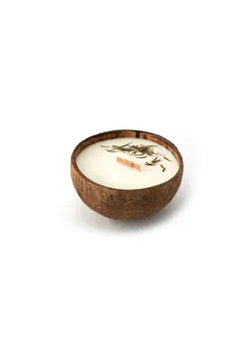 Coconut candle - The smell of the forest