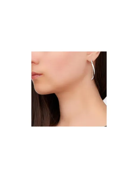 Elegant steel earrings SKJ1199040