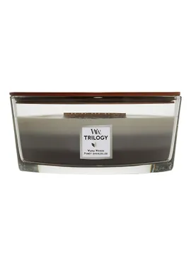 Scented candle ship Trilogy Warm Woods 453 g